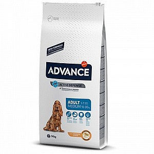 אדוונס/ADVANCE בוגר גזע בינוני אדוונס/ADVANCE בוגר גזע בינוני