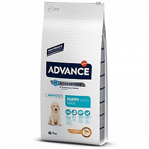 אדוונס/ADVANCE גור גזע גדול אדוונס/ADVANCE גור גזע גדול