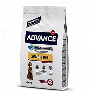 אדוונס/ADVANCE בוגר כבש אדוונס/ADVANCE בוגר כבש