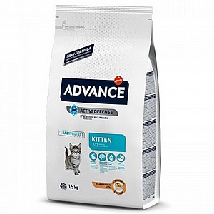 אדוונס/ADVANCE חתול קיטן אדוונס/ADVANCE חתול קיטן