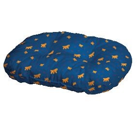 ����� ����� 6