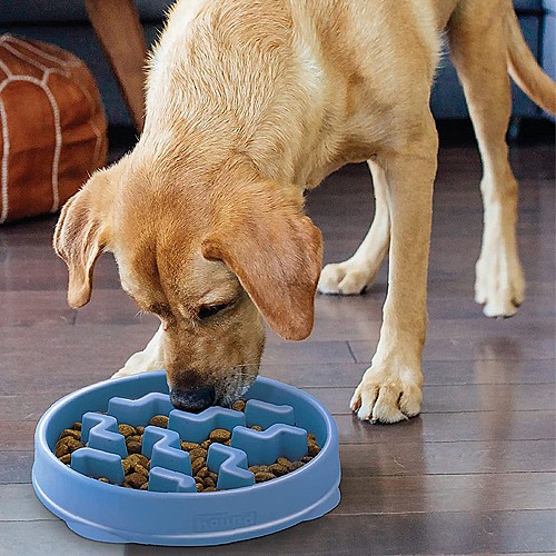 ��� ���� L - ���� ����� ����� ���� ����