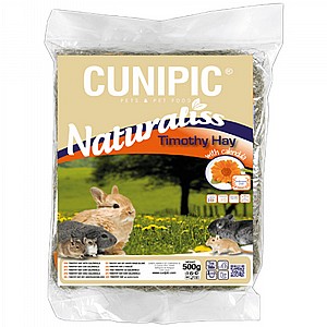 ����� ������� ������