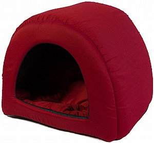 ����� ����� ����