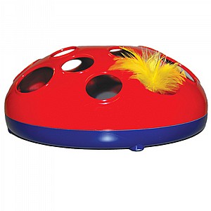 ���� ���� ���� ����� �� �����