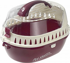 ���� ����� ����� �����