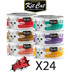 ��� ��� �� ���� ����� ����� 