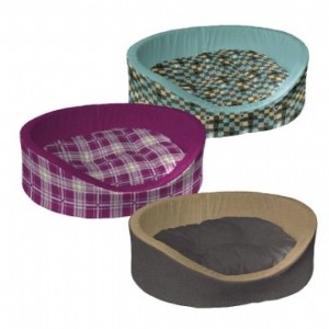 ���� ���� 80