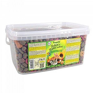 ���� ������� �������� �������