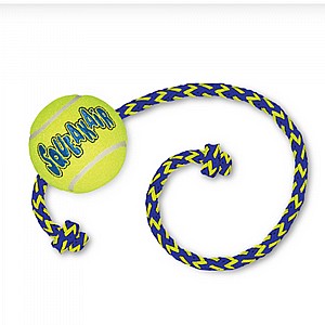 ���� ���� ������� �� ���