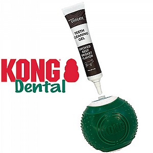 ��� ���� KONG ���� + �'� ��������� �������� ��� 