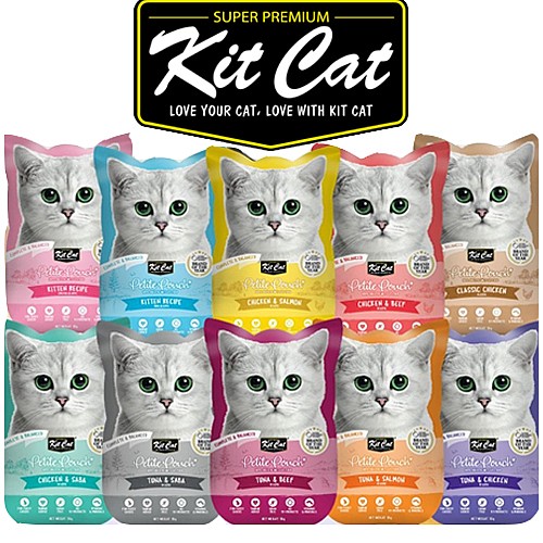 ���� ���� ��� �� ���� 