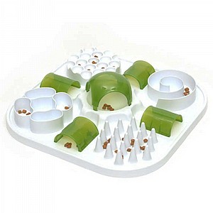 ���� ������ �����