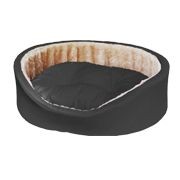 ���� ����� ���� 55