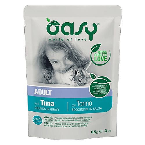 ���� �����/OASY ���� 85 ���