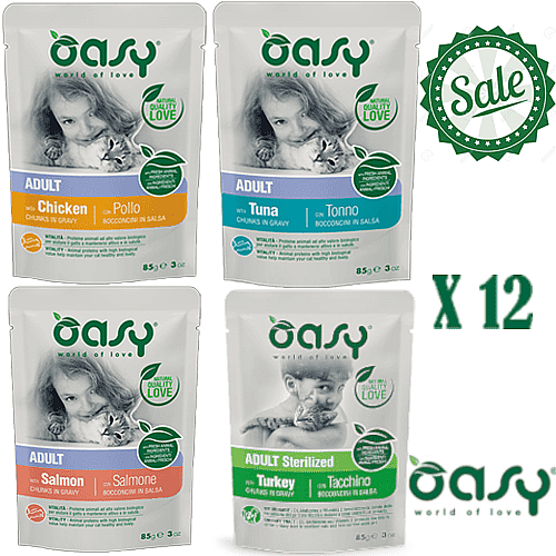 ���� 12 ���� �����/OASY �����