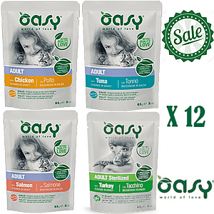 ���� 12 ���� �����/OASY �����