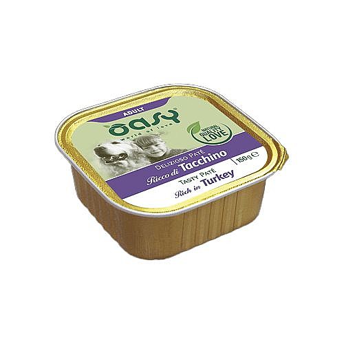 ���� ����� ��� ����