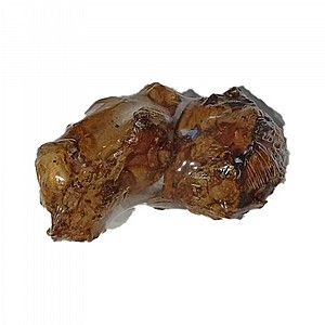 ��� ����� ��� ��� 