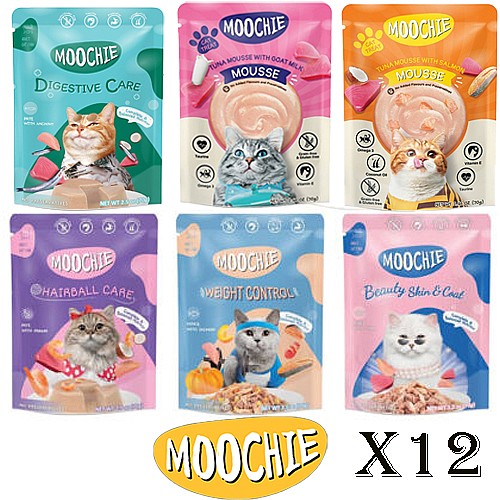 ���� ���� �������