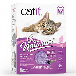 ��� ����� ����� ����� - ������ 