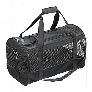 ��� ����� ���� ����� ���� ���