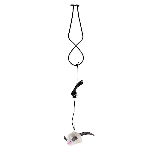 ���� ����� �� ����� 