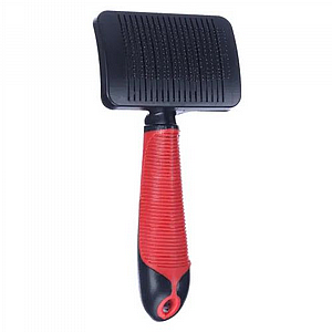 ����� ���� ����� ����