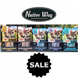 ���� 5 ����� ������ ��� ������ �������