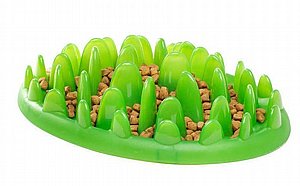 ���� ����� ������ �����