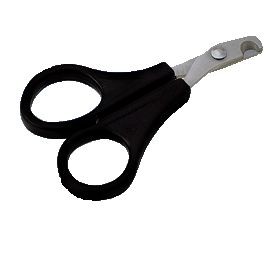 ���� ��������