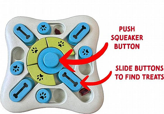 ���� ����� ���� ������