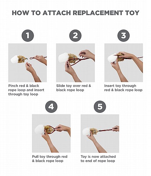 ���� ����� ���� ���� ����