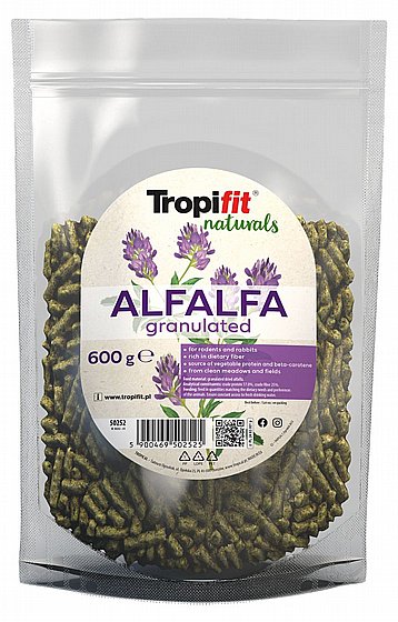 ������� ������ ��������