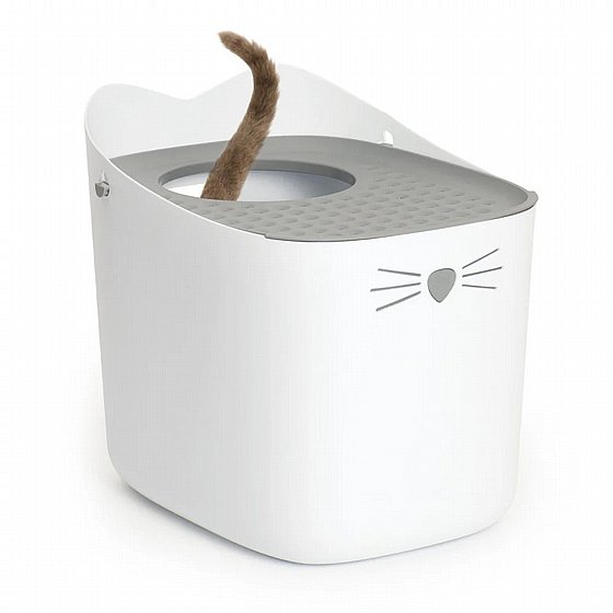 ������� ����� �� ��� ����� - CatIt �����