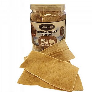 ���� ���� ������ ��� - ����� ���