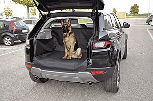 ����� ��� ����