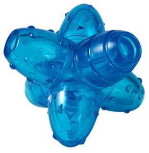 ���� ����� ���� �����