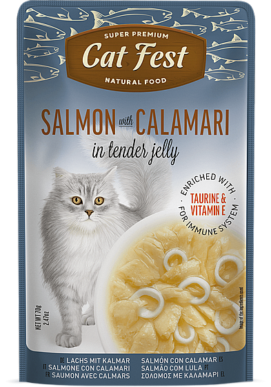 ���� �� ���/Cat  Fest - ����� ������