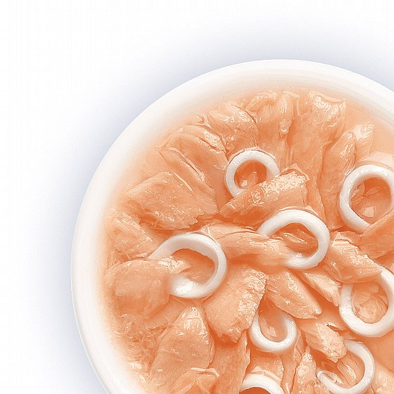 ���� �� ���/Cat  Fest - ����� ������