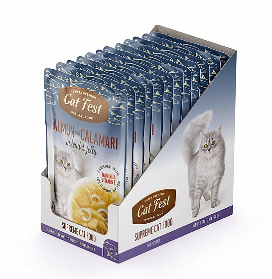 ���� �� ���/Cat  Fest - ����� ������