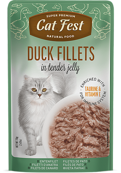 ���� �� ���/Cat Fest - ���� �����