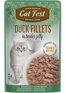 ���� �� ���/Cat Fest - ���� �����