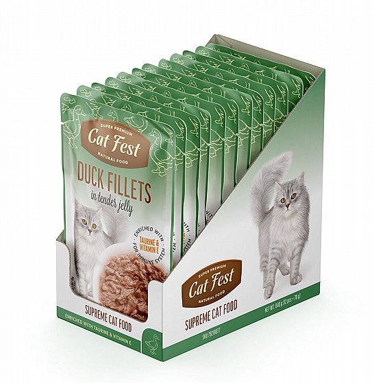���� �� ���/Cat Fest - ���� �����