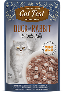 ���� �� ���/Cat Fest - ����� �����
