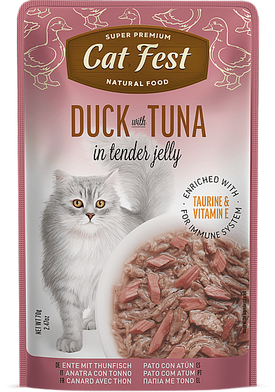 ���� �� ���/Cat Fest - ����� �����