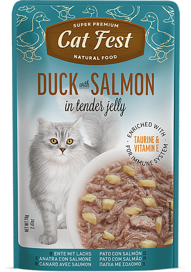 ���� �� ���/Cat Fest - ����� ������