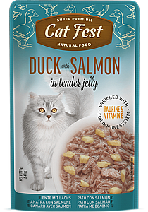   /Cat Fest -  