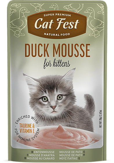 ���� �� ���/Cat  Fest ���� - ��� �����
