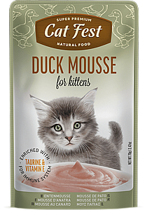 ���� �� ���/Cat  Fest ���� - ��� �����
